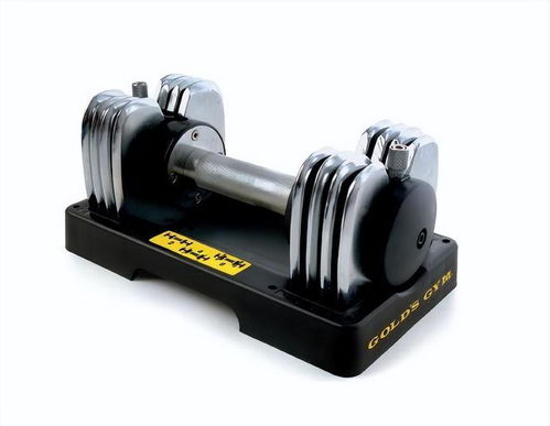 減脂增肌好工具 健身啞鈴選購指南與海德可調節啞鈴深度評測